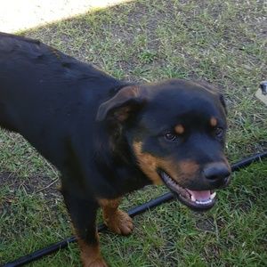 Meet your Posher, Rhonda